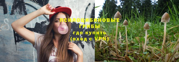ГАЛЛЮЦИНОГЕННЫЕ ГРИБЫ Баксан