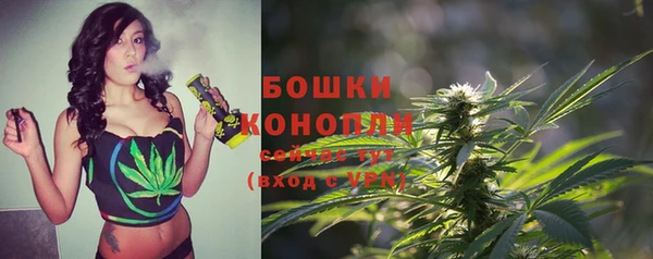 ГАЛЛЮЦИНОГЕННЫЕ ГРИБЫ Баксан